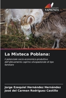 La Mixteca Poblana (Italian Edition) 620704584X Book Cover