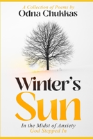 Winter's Sun: In The Midst of Anxiety God Stepped In B091HF7ZZR Book Cover