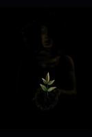 Resilience at Twenty Four 1790360099 Book Cover