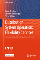 Distribution System Operation: Flexibility Services: Summary of Key Outputs From the Open Networks Programme (Power Systems) 3031929047 Book Cover