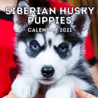 Siberian Husky Puppies Calendar 2021: 16-Month Calendar, Cute Gift Idea For Siberian Husky Lovers, Women & Men null Book Cover