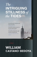 The Intriguing Stillness of the Tides B0G6P77KKQ Book Cover