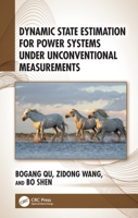 Dynamic State Estimation for Power Systems under Unconventional Measurements 1041163169 Book Cover