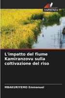 L'impatto del fiume Kamiranzovu sulla coltivazione del riso (Italian Edition) 6209984983 Book Cover