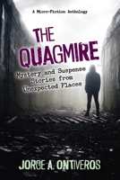 Quagmire : Mystery and Suspense Stories from Unexpected Places 1936885611 Book Cover