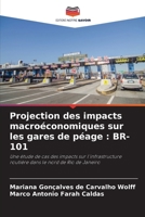 Projection des impacts macroéconomiques sur les gares de péage : BR-101: Une étude de cas des impacts sur l'infrastructure routière dans le nord de Rio de Janeiro (French Edition) 6208004691 Book Cover