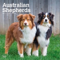 Australian Shepherds 2027 12 X 24 Inch (Hanging) Monthly Square Wall Calendar Plastic-Free B0GH8WLC17 Book Cover