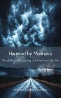 Haunted by Madness: Book Six of Escaping the Madness Series B0FKN8R28H Book Cover