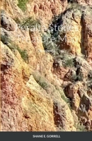 Peralta Stones Treasure: Deciphered 138752562X Book Cover