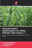 Relação fonte-destinatário no milho híbrido (Zea mays L.) (Portuguese Edition) 6630070542 Book Cover