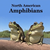 Amphibians of North America Kids Book: Great Children's Amphibians Book about Frogs, Toads, Salamanders, of North America 1965098541 Book Cover