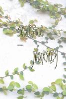 Soulful Journey 1737361507 Book Cover