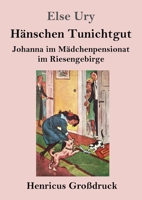 Hänschen Tunichtgut (Großdruck): Johanna im Mädchenpensionat im Riesengebirge 3847855751 Book Cover