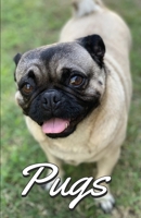 Pugs Photo Book for Writing and Note Taking: Writing Pad with Pug Pictures, Dog Lover Gifts 1636571794 Book Cover