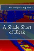 A Shade Short of Bleak 1490315713 Book Cover