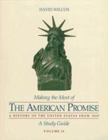 Making the Most of the American Promise 0312111991 Book Cover