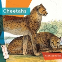 Cheetahs 1583417370 Book Cover