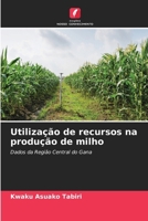 Utilização de recursos na produção de milho (Portuguese Edition) 6207912896 Book Cover