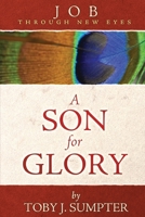 Job Through New Eyes: A Son for Glory 0984243984 Book Cover