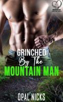 Grinched By The Mountain Man: A Forced Proximity Fake Marriage Romance 1968569111 Book Cover