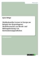 Multikulturelles Lernen in Europa am Beispiel des Kopenhagener Modellversuches zur Berufs- und Bildungsberatung von Einwandererjugendlichen 3656342490 Book Cover