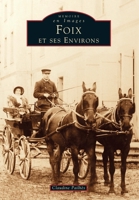 Foix et ses environs (Mémoire En Images Locaux) (French Edition) 2842535944 Book Cover