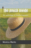The Amish Divide An Anthology of Amish Romance B0CVMBZNGZ Book Cover