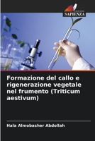 Formazione del callo e rigenerazione vegetale nel frumento (Triticum aestivum) 620637761X Book Cover