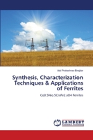 Synthesis, Characterization Techniques & Applications of Ferrites 620552807X Book Cover