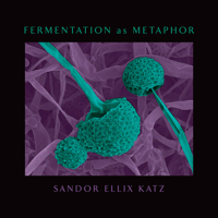 Fermentation as Metaphor: Follow Up to the Bestselling "The Art of Fermentation" 1645020215 Book Cover