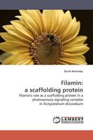 Filamin: a scaffolding protein: Filamin's role as a scaffolding protein in a photosensory signalling complex in Dictyostelium discoideum 3838307410 Book Cover