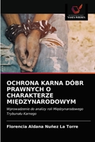 OCHRONA KARNA DÓBR PRAWNYCH O CHARAKTERZE MIĘDZYNARODOWYM: Wprowadzenie do analizy roli Międzynarodowego Trybunału Karnego 6203592587 Book Cover