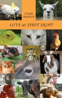 Love at First Sight 1955095043 Book Cover