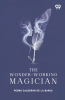 The Wonder-Working Magician 9376809203 Book Cover