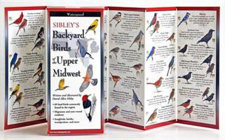 Sibley's Backyard Birds of the Midwest 1935380648 Book Cover