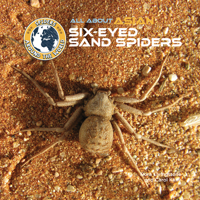 All about Asian Six-Eyed Sand Spiders (Spiders Around the World: Asia) 1680208810 Book Cover