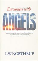 Encounters With Angels 0842307656 Book Cover