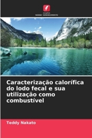 Caracterização calorífica do lodo fecal e sua utilização como combustível 6209215688 Book Cover