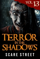 Terror in the Shadows Vol. 13: Horror Short Stories Collection with Scary Ghosts, Paranormal & Supernatural Monsters B08YQJCYQD Book Cover