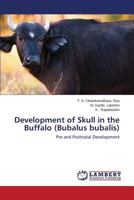 Development of Skull in the Buffalo (Bubalus bubalis): Pre and Postnatal Development 3659578584 Book Cover