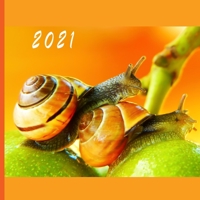 2021: Monthly Photo Calendar - January 2021 - December 2021 - Monthly Calendar with U.S./UK/ Canadian/Christian/Jewish/Muslim Holidays - Beautiful Snail Calendar B08GFL6TQ2 Book Cover