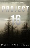 Project 16 1542416140 Book Cover