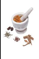 Essentials of My Research Endeavor: Compilation of my publications 1077118708 Book Cover