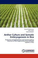 Anther Culture and Somatic Embryogenesis in Rice 3847327631 Book Cover