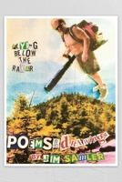 Flying Below the Radar: Poems & Drawings 1639371559 Book Cover