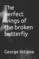 The perfect wings of the broken butterfly B0G5NFRB4H Book Cover