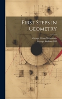 First Steps in Geometry 1022483323 Book Cover