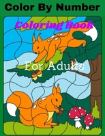 Color By Number Coloring Book For Adults: Large Print Mega Jumbo Coloring Book With Butterflies, Flowers, Gardens, and Animal Extreme Color by Numbers B08W4Q9F7Q Book Cover