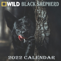 BLACK SHEPHERD CALENDAR 2022: BLACK SHEPHERD calendar 2022 "8.5x8.5" Inch 16 Months JAN 2022 TO APR 2023 finished and Glossy B093RRQD8J Book Cover