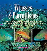 Wrasses & Parrotfishes: The Complete Illustrated Guide to Their Identification, Behaviors, and Captive Care 1890087440 Book Cover